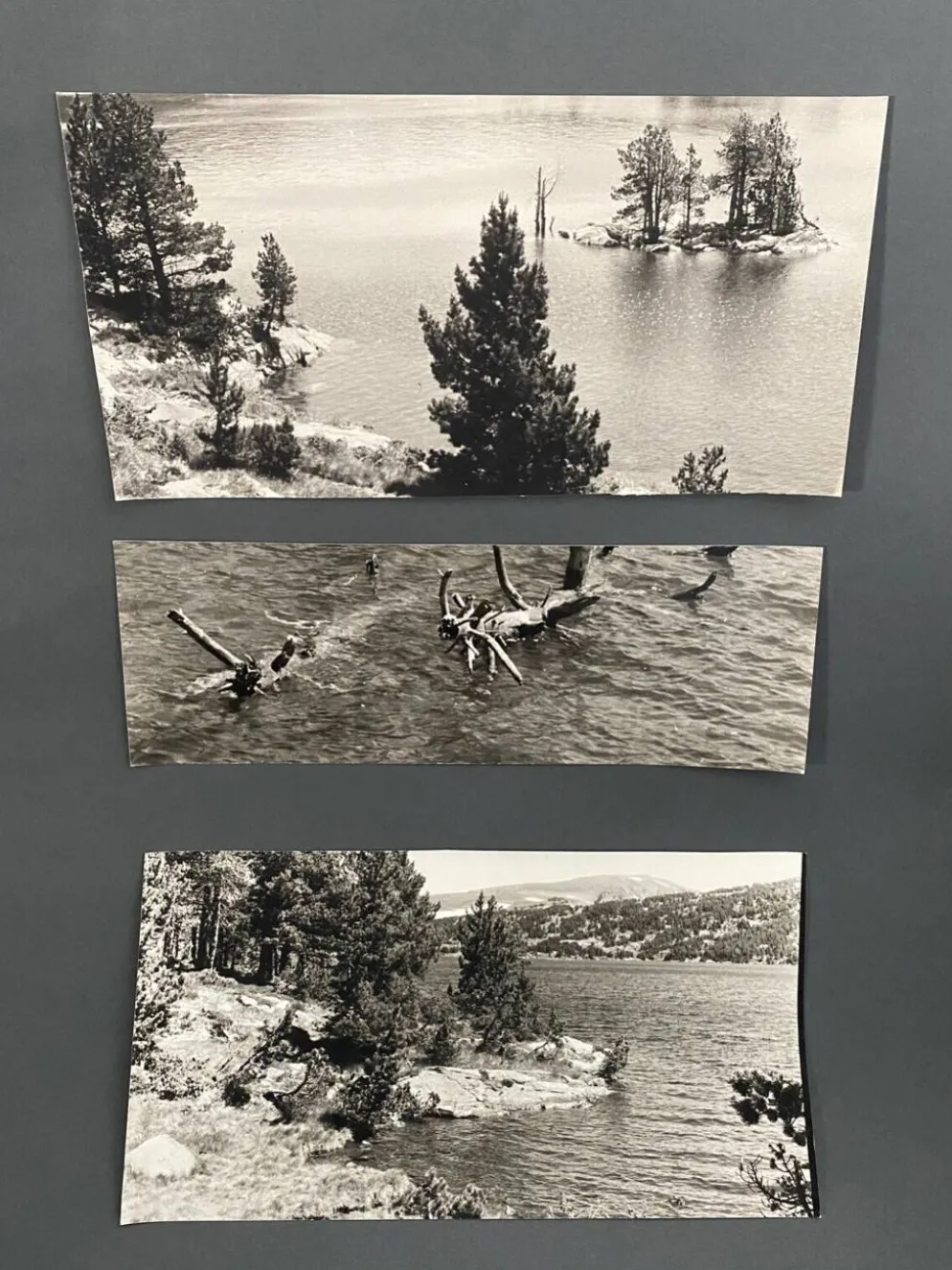 Lot de 3 photos anciennes Bernard Darot Lac Ile Sapins XXe