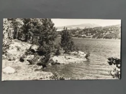 Lot de 3 photos anciennes Bernard Darot Lac Ile Sapins XXe