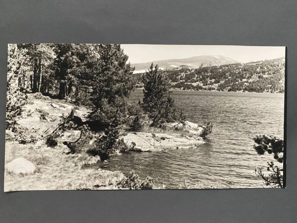 Lot de 3 photos anciennes Bernard Darot Lac Ile Sapins XXe