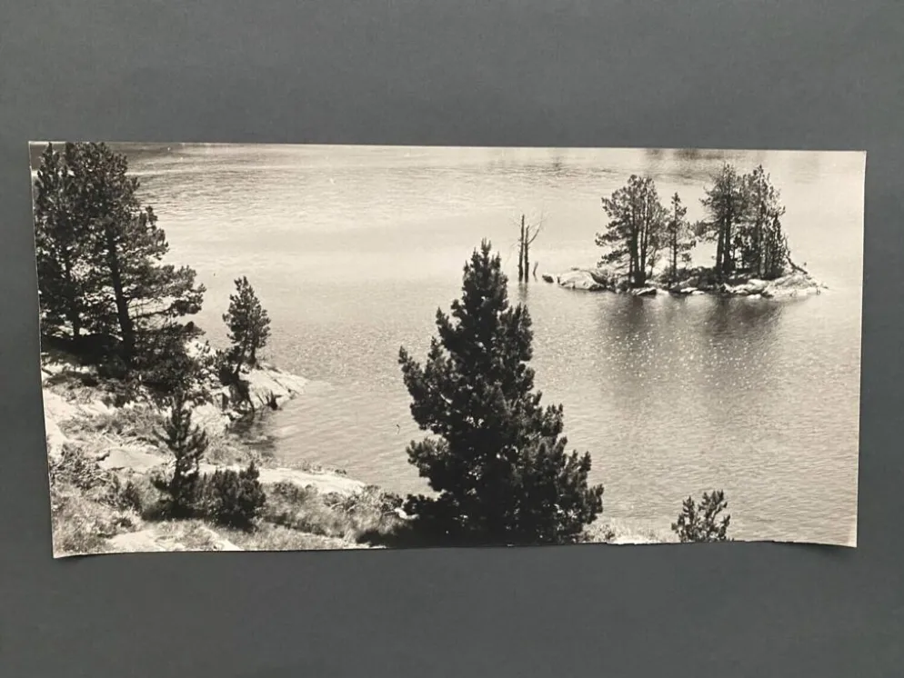 Lot de 3 photos anciennes Bernard Darot Lac Ile Sapins XXe