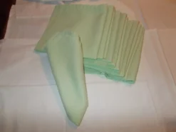 Lot de 12 serviettes de table verte