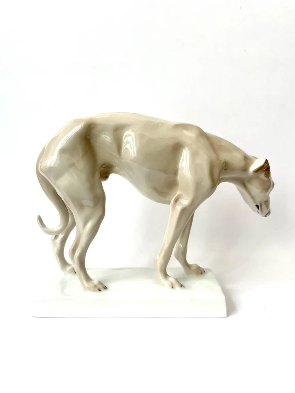 Lévrier par Dorothea Moldenhauer, Rosenthal, 1920