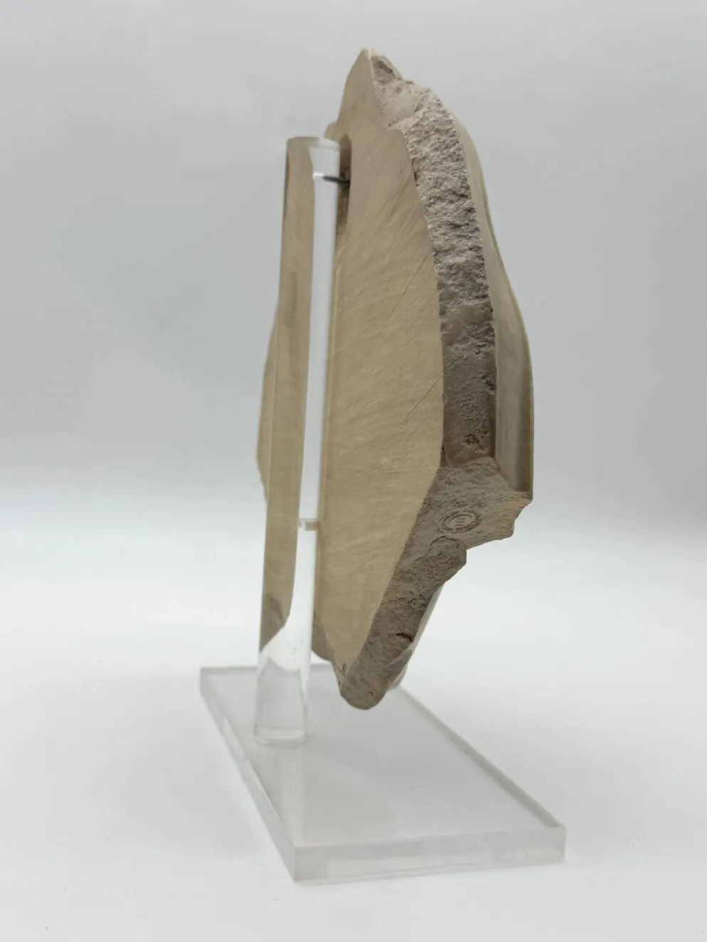 Masque de femme XIVe – reproduction musée du Louvre