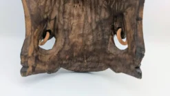 Masque Sculptural Bois - Visage & Cobra Royal (Naga) - Art Tribal Indonésie