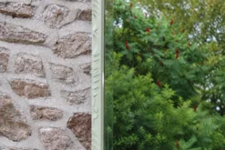 Miroir ancien biseauté en bois massif sculpté vert Lézard –