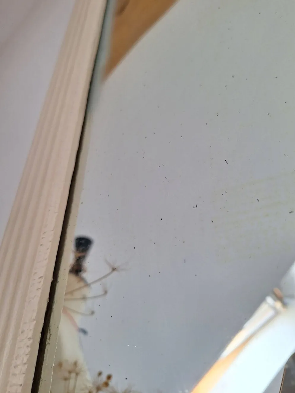 Miroir biseauté et mouluré beige