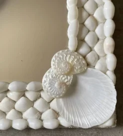Miroir en bois et coquillages