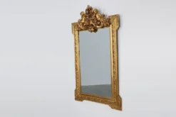 Miroir en chêne doré richement sculpté de style rococo français, 19e siècle