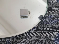 Miroir ovale