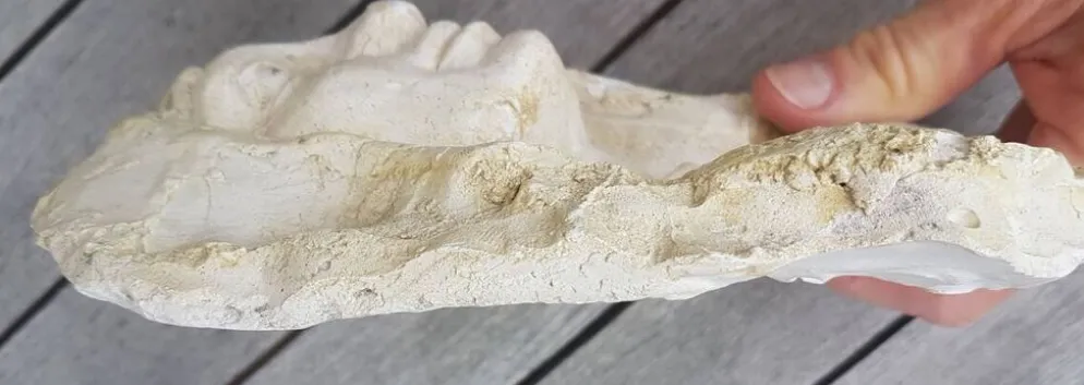 Moulage en platre visage vierge