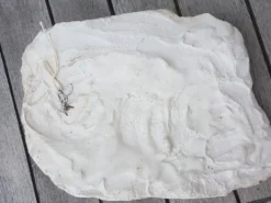 Moulage en platre visage vierge