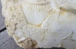 Moulage en platre visage vierge