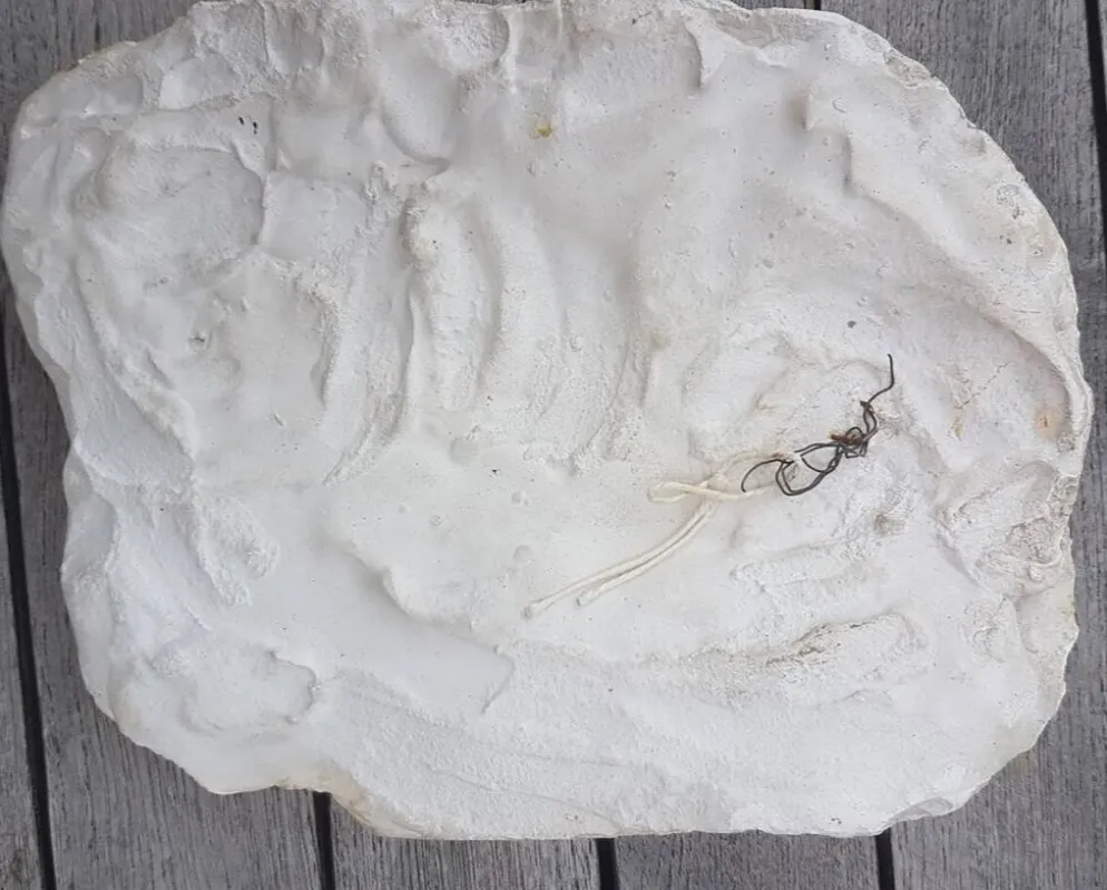 Moulage en platre visage vierge