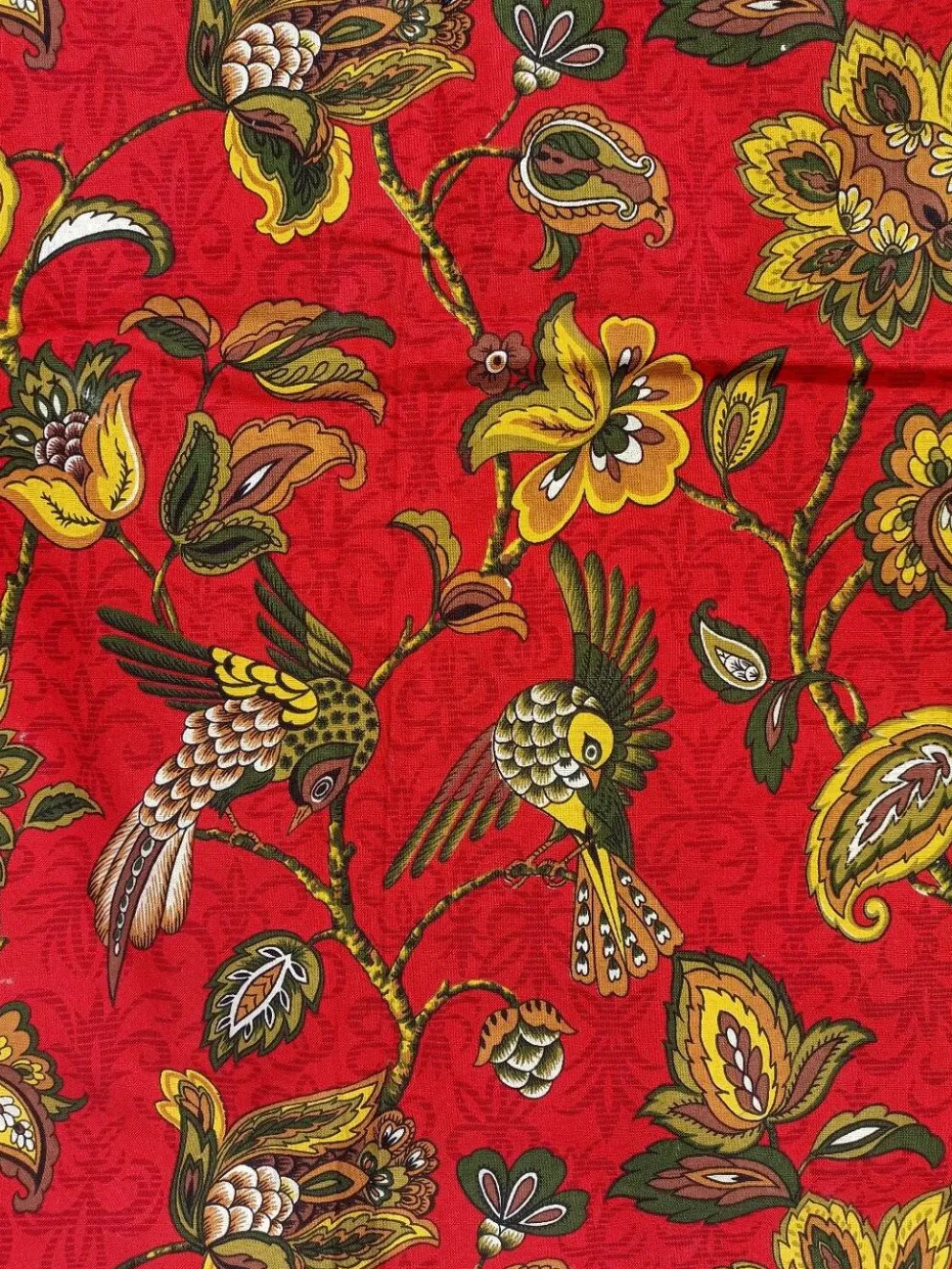 Nappe