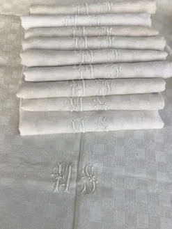 Nappe rectangle MS neuve et 9 serviettes assorties