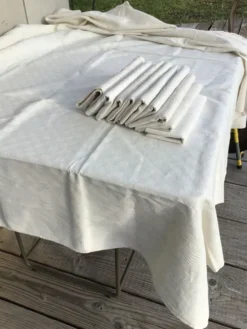 Nappe rectangle MS neuve et 9 serviettes assorties