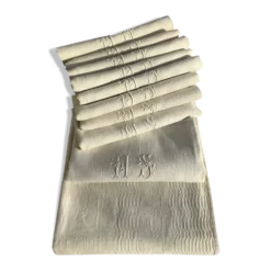 Nappe rectangle MS neuve et 9 serviettes assorties