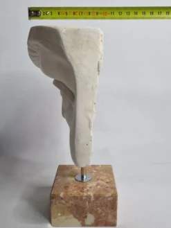 Oeil du "David" de Michelangelo moulage vintage d'après Brucciani, sur socle, 27 cm