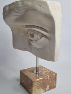 Oeil du