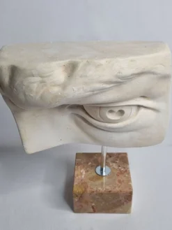 Oeil du