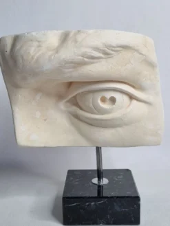 Oeil du 