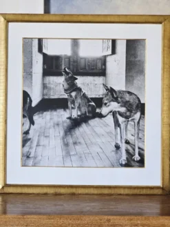 original vintage silver print 
