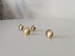 Paire de boutons 