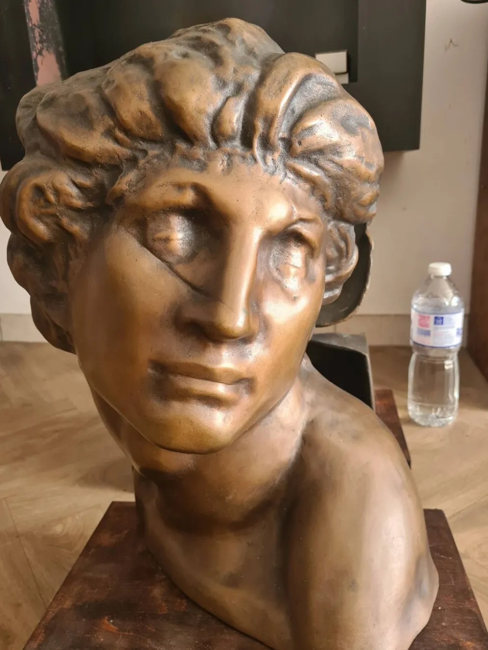 Paire de bronze "les esclaves" de Michel-Ange