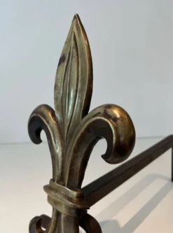 Paire de chenets en bronze et fer forgé fleur de lys, France