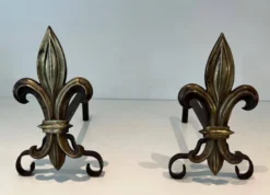 Paire de chenets en bronze et fer forgé fleur de lys, France