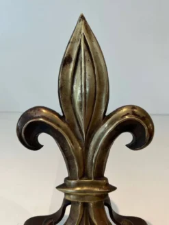Paire de chenets en bronze et fer forgé fleur de lys, France