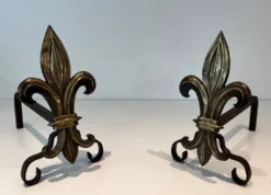 Paire de chenets en bronze et fer forgé fleur de lys, France