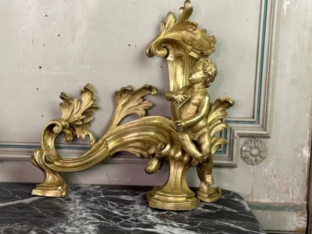Paire de chenêts en bronze ciselé et doré d'après un modèle de Jacques Caffieri, Paris XIXème