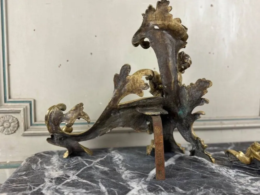 Paire de chenêts en bronze ciselé et doré d'après un modèle de Jacques Caffieri, Paris XIXème