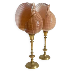 Paire de coquillages naturels sur un candélabre en laiton Skultuna du milieu du siècle suédois.