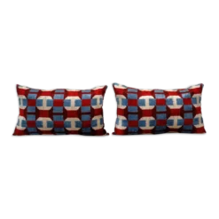 Paire de coussins ikat