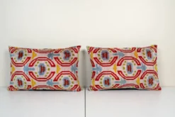 Paire de coussins Ikat