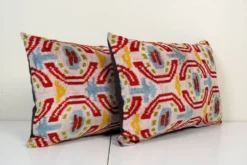 Paire de coussins Ikat