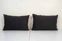 Paire de coussins Ikat