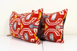 Paire de coussins Ikat