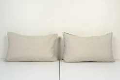 Paire de coussins Ikat