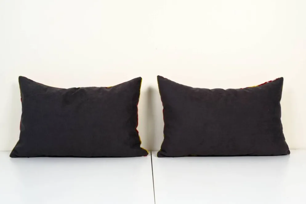 Paire de coussins Ikat