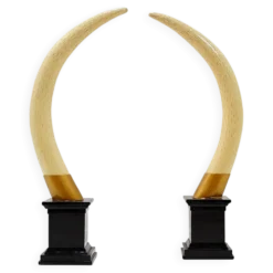 Paire de fausses défenses d'éléphant - 20ème siècle H:82cm