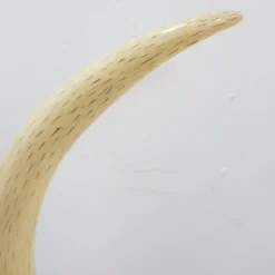 Paire de fausses défenses d'éléphant - 20ème siècle H:82cm