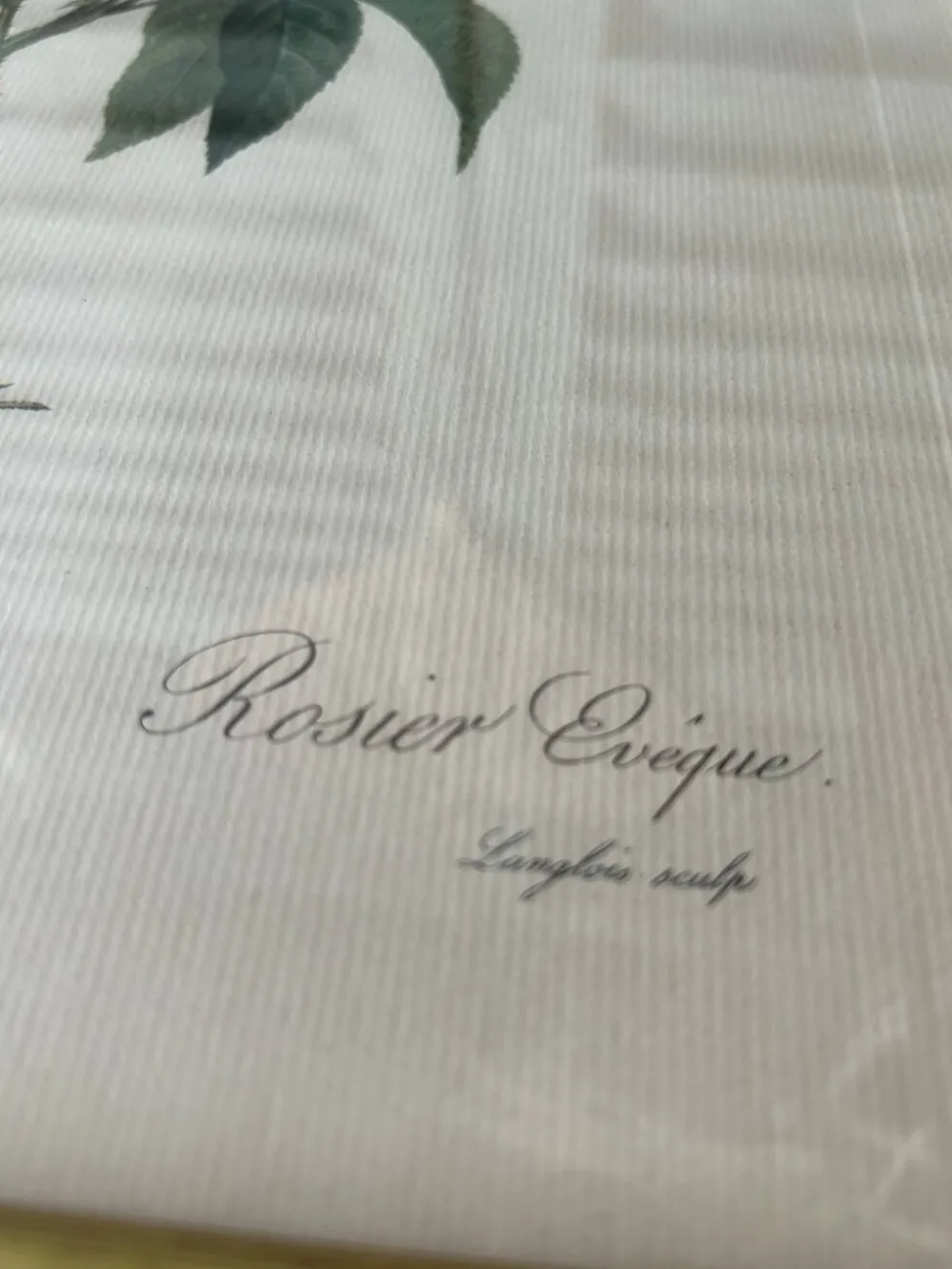 Paire de gravures Redouté