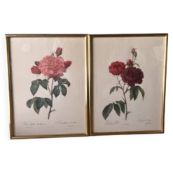 Paire de gravures Redouté