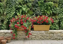 Paire de jardinières en céramique émaillée SILMA Italie - Années 70