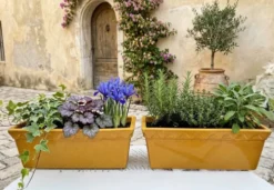 Paire de jardinières en céramique émaillée SILMA Italie - Années 70