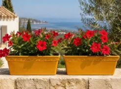 Paire de jardinières en céramique émaillée SILMA Italie - Années 70