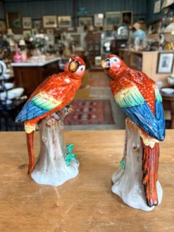 Paire de perroquets en porcelaine Sitzendorf – Allemagne